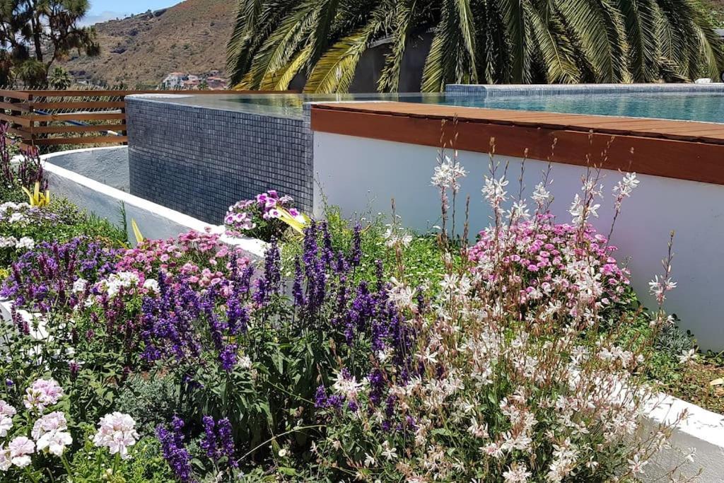 Casa Vina: A Spectacular Away From It All Holiday La Orotava Dış mekan fotoğraf